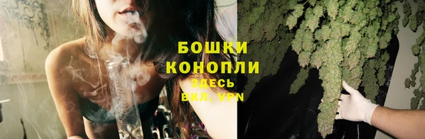ГАЛЛЮЦИНОГЕННЫЕ ГРИБЫ Абаза