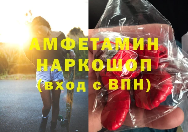 ГАЛЛЮЦИНОГЕННЫЕ ГРИБЫ Абаза