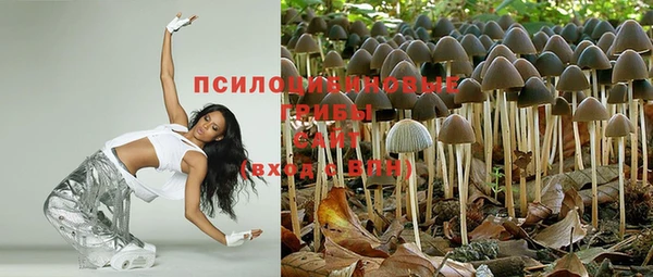 таблы Алексин
