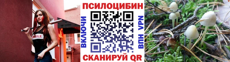 Галлюциногенные грибы мицелий  Инта 